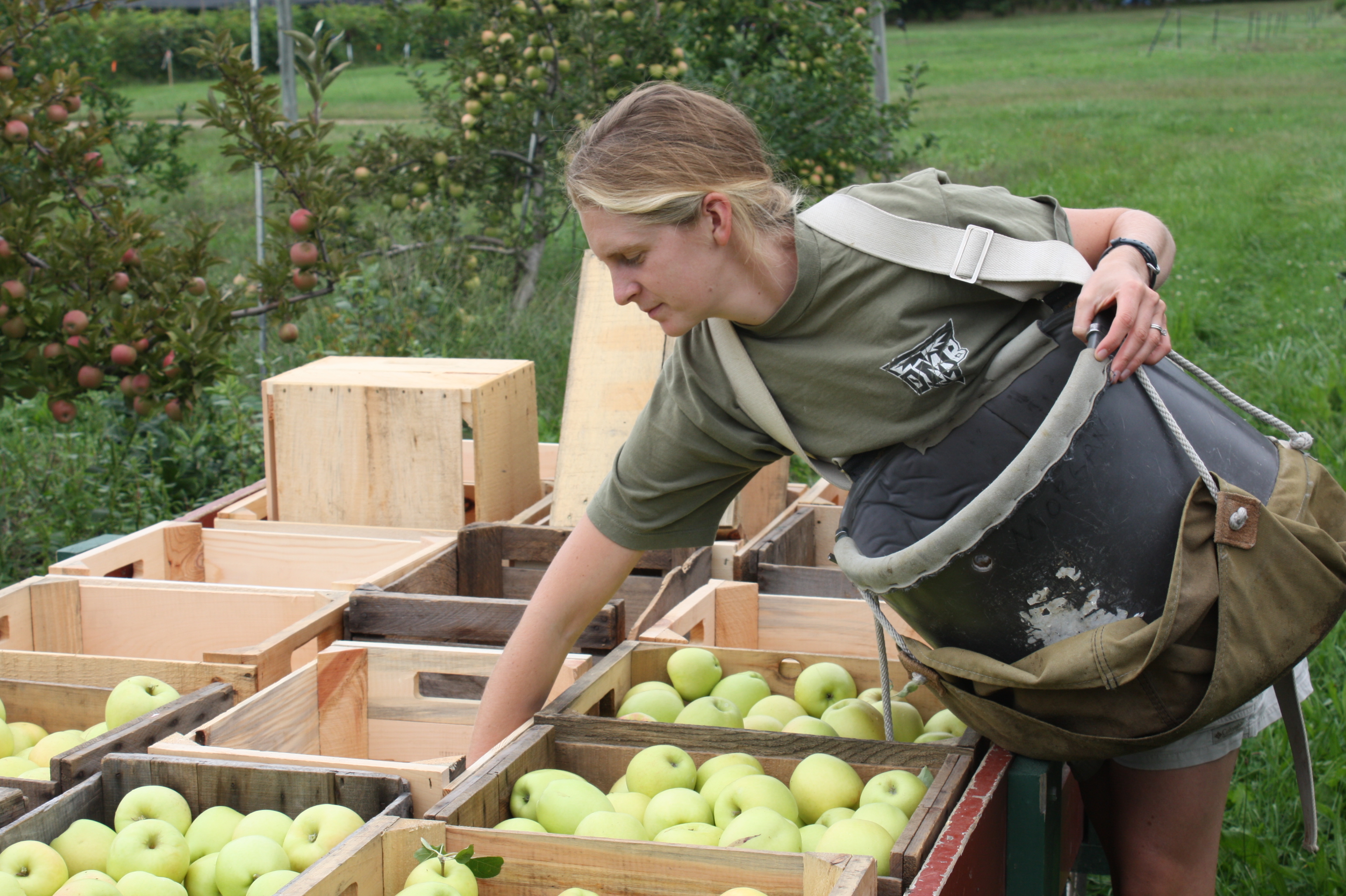 Vermont Apple Photos Vermont Tree Fruit Growers Association